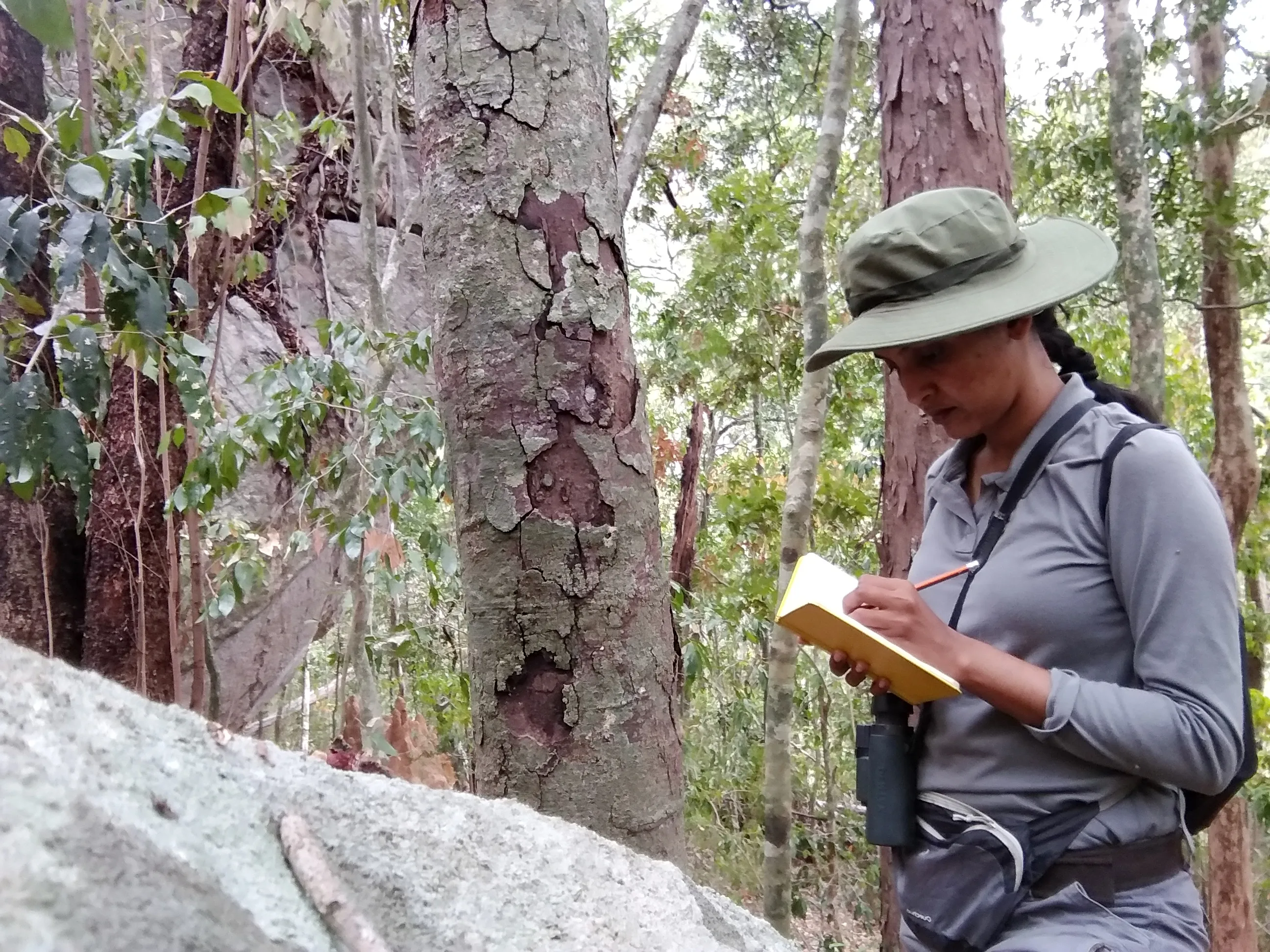 Field researcher crouched beside a tree trunk in the forest, writing in a small notebook